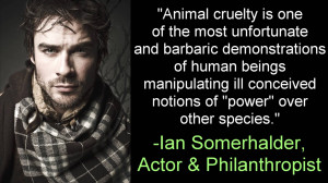 ... Ricky Gervais and Other Celebs to Campaign Against Animal Performances