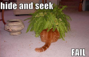 Hide And Seek Fail ~ Motivational funny pictures love inspirational ...
