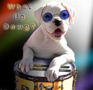 All Graphics » chrismas boxer dogs