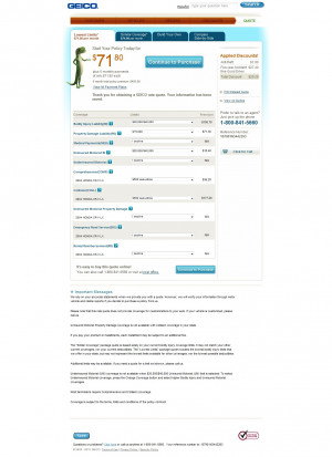 Insurance Quote Preview- Geico Quote Page 7