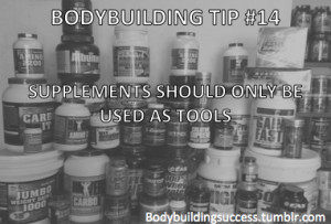 ... supplements are NOT a miracle pill, nothing will replace hard work in