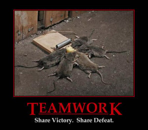 Teamwork - share victory, share defeat. Five mice caught in mousetrap ...