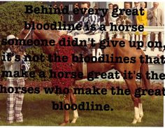 Secretariat hors quotessay, ho hos, secretariat quotes, horseback ...