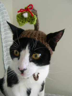 Under the Mistletoe Christmas Cat Hat. $18.00, via Etsy.
