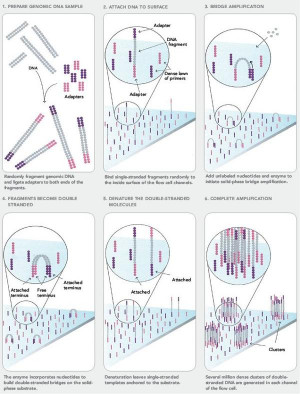 next generation sequencing illumina