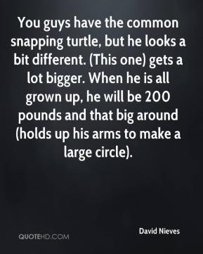 And when you look at the Turtle's movie there is something there ...