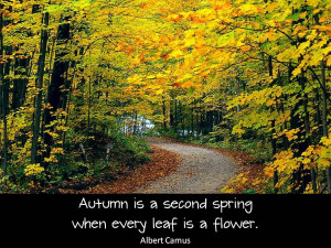 Autumn is a second spring