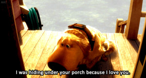 was hiding under your porch because I love you gif Up Doug Imgur