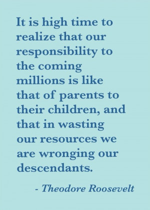 Man In The Arena Theodore Roosevelt Quotes