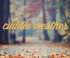 Winter Cuddling Quotes Tumblr Cuddle