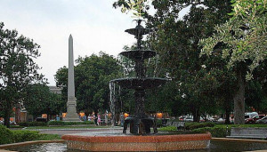 womens safari clothing sale