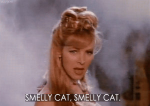 smelly cat on Tumblr