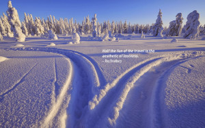 50 Best Travel Quotes To Inspire You