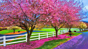 Displaying 12> Images For - Beautiful Spring Day Wallpaper...