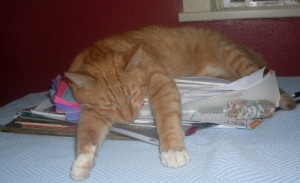 Famous quotes by famous people