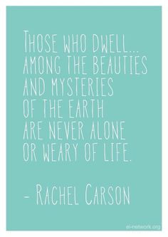 Rachel Carson More
