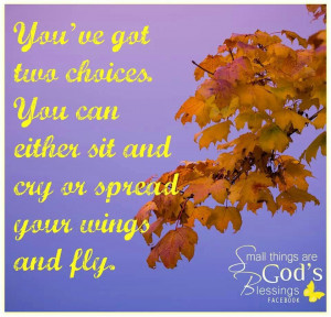 There’s so much more to discover