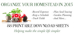 It takes a lot to manage a homestead. On top of all your regular home ...