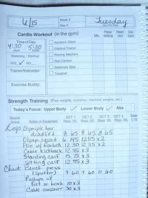 ... workout journals remember that you can create your own workout journal
