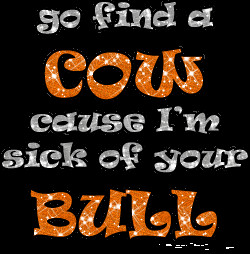 Attitude: Sick of Your Bull…