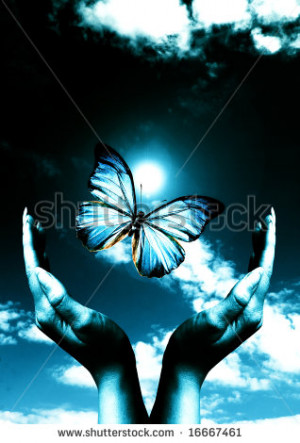 open female hands with a blue butterfly between them and a dark blue ...