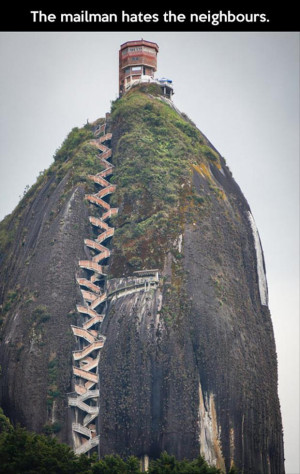 Random Daily Funny Pictures