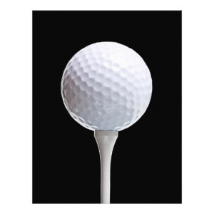 golf_ball_tee_on_black_customized_template_flyer ...