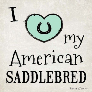 Love My American Saddlebred Horse by Summer Snow Art