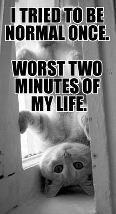 tried to be normal once....