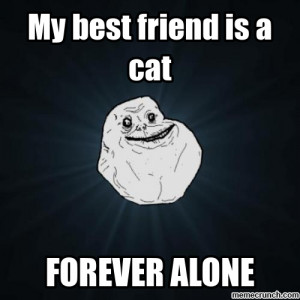Best Friend Cat Meme