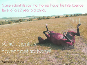 Horse Riding Quotes and Sayings