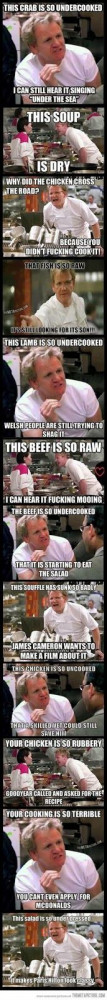 hell's kitchen funny quotes More