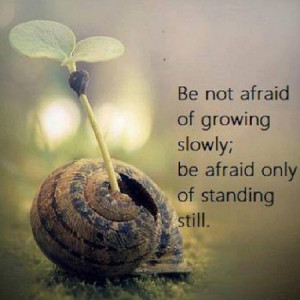 Be not afraid of growing slowly; be afraid only of standing still.