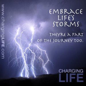 Embrace Life Quotes
