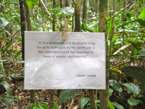 Rachel Carson Quote The Veracel Forest Preserve Too Bad They Don