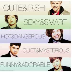 adorable, cute, dangorous, funny, harry styles, hot, irish, liam payne ...
