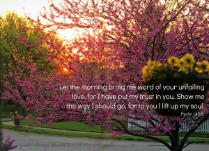 Thank you LORD for this beautiful day ahead of us!! Good morning my ...