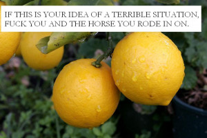 Quotes Funny Lemonade