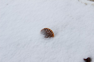 Pin it Like Visit site