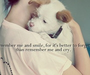 , dog, puppy, typo, saying, quote, quotes, sad, missing, missing ...