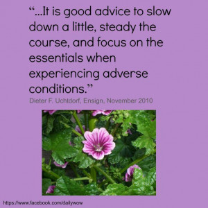 ... when experiencing adverse conditions.” ~Dieter F. Uchtdorf