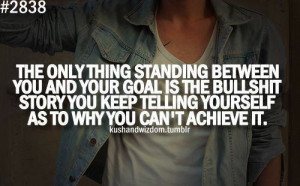 The only thing standing between you and your goal is the bullshit ...