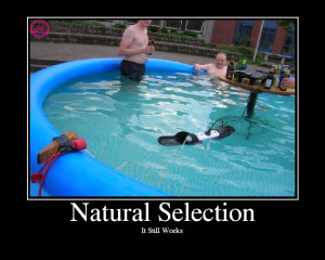 SXSW Film : Natural Selection