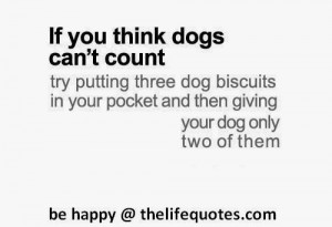 funny dog quotes if you think dog can t count try putting three dog ...
