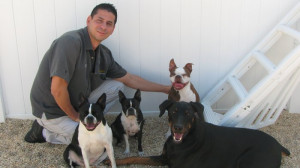 Bark Busters Home Dog Training Staten Island NY