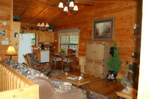 Bear Necessities Cabin Rental Image 923