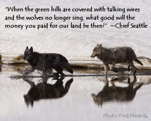 wolf strength quotes source http www liupis com wolf ...