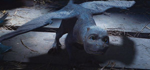 Baby Saphira - (Eragon): Eragon Saphira, Cutest Baby, Babies, Eragon ...