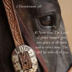 ... Quotes, Bible Quotes, Hors Quotes, Bible Verses, Christian Cowgirl