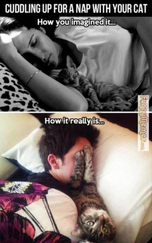 Cat memes – [Cuddling up with your cat]